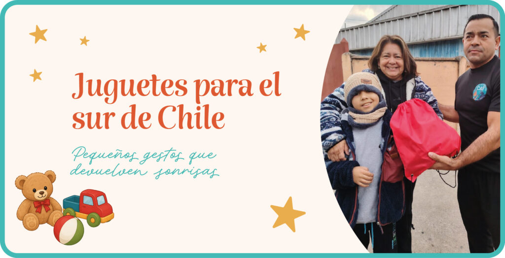 Juguetes para el sur de Chile